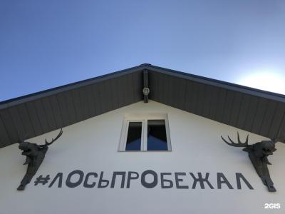 #ЛосьПробежал - 13