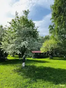 Мечтатели - 7