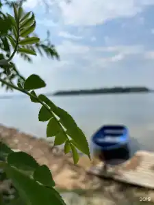 Светлячок - 14