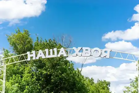 Наша Хвоя - 56