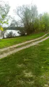 Два белых льва на Дону - 10
