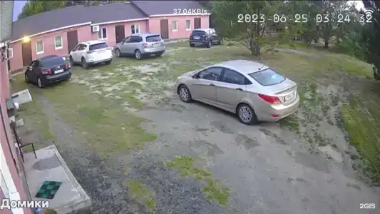 Стриж - 16