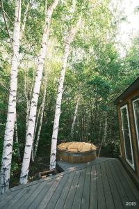 Sviyaga Glamp - 99