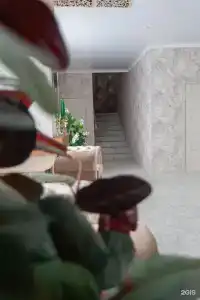 Castle - 75