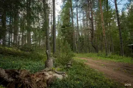 Усадьба Коноваловых - 28