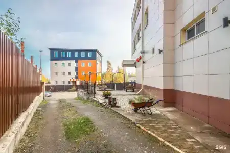 Чайка - 53