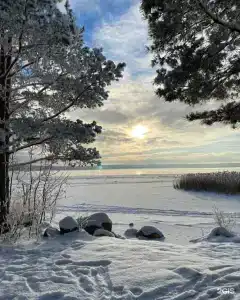 Жемчужина - 29