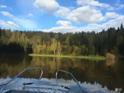 Поляна - 35