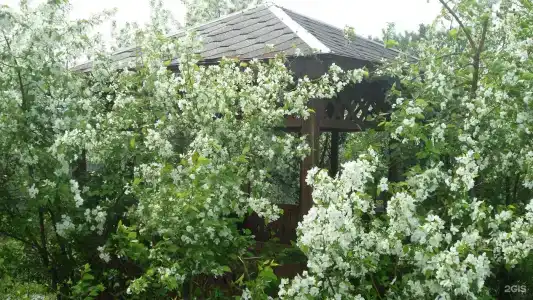 Здравствуйте - 9
