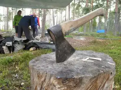 Поляна - 60