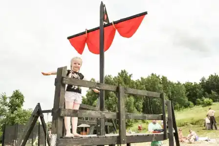 Березовая роща - 33