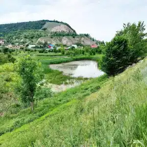 Глэмпинг Лисички Сестрички - 29