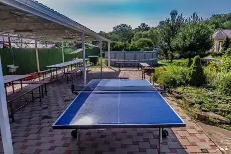 Собер - 6