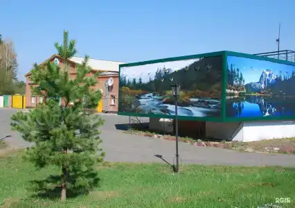 Сосновый бор - 29