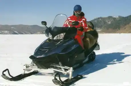 У Озера - 101