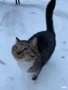 Живой Ручей - 55