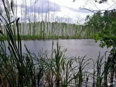 На Маклоке - 5