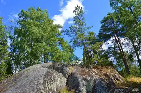 Янисъярви - 25