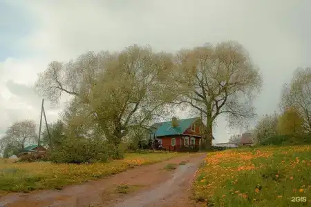 Ларди - 54