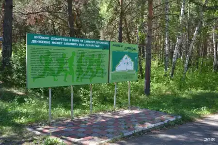 Сосновый бор - 60