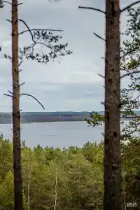 Добрый Лось - 24