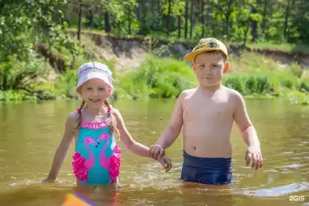 Зеленый Бор - 8