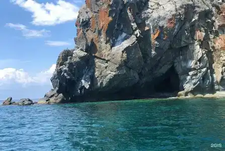 Красный кот - 71