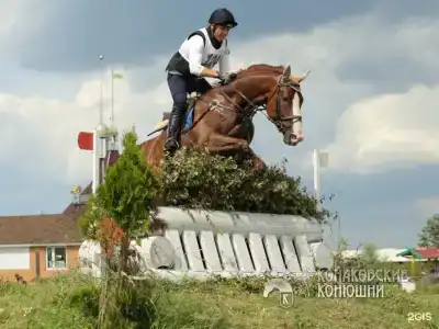 Загородный отель Konakoff в Сажино - 114