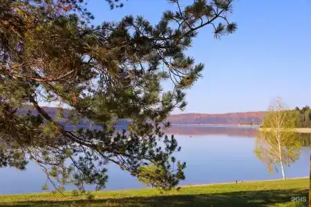 Звездный - 20