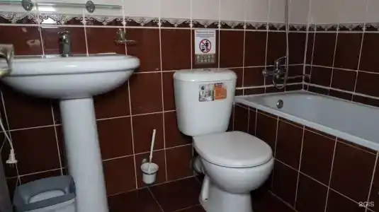 Фея 2 - 102