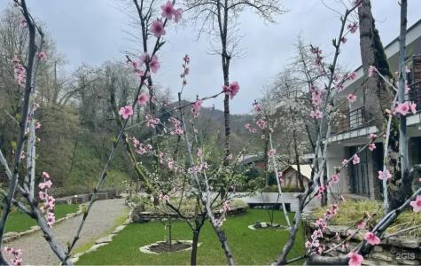 Soloh Spa Village - 53