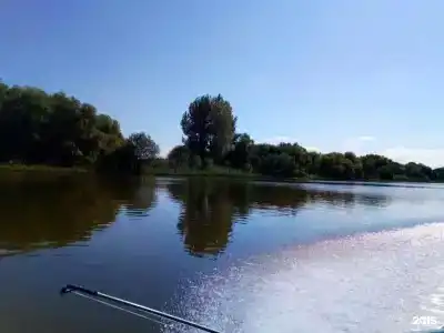 Радуга - 20