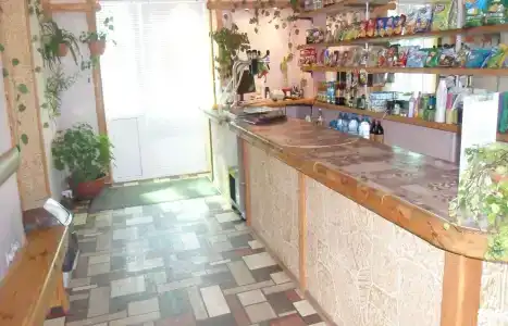 Здравствуйте - 26