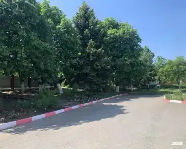 Элит - 61