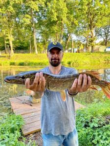 Зеленый Бор - 22