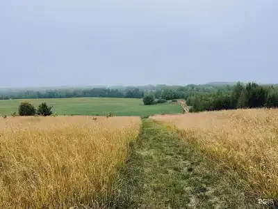 Ларди - 34