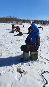Ситинка - 75