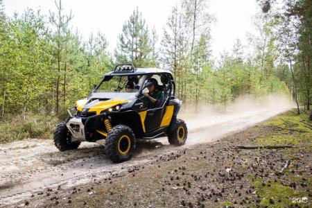 Зеленый Бор - 43