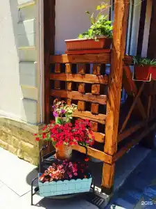Аристократ - 0