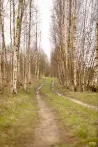 Халамеево - 9