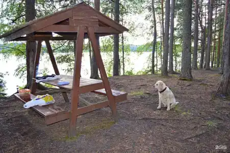 Янисъярви - 68