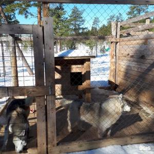 Арктик Хоум - 126