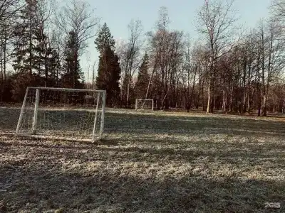 Дубки - 17