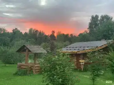 Дубки - 39