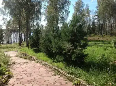 Мельница Рантала - 50