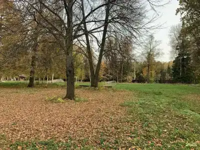 Дубки - 132