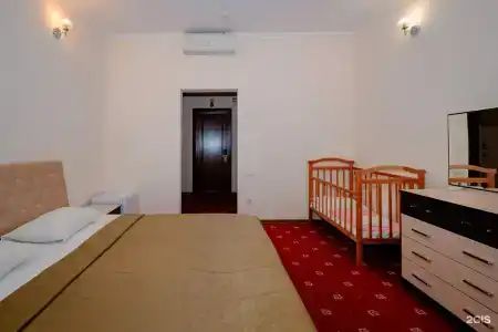 Кипарис - 109