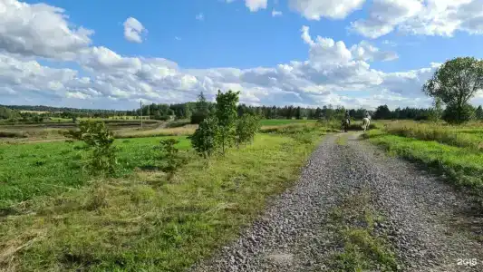 Марьино - 50