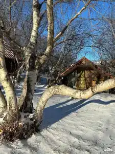Старый Сивух - 43