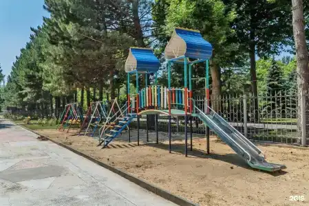 Родник - 61